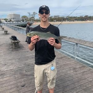 Meet your Posher, Austin